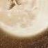 Puré Negga The World Is Magic Audio Oficial