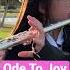 Ode To Joy Flute Odetojoy Flute Symphony 9 Ludwigvanbeethoven Shorts