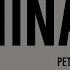 Paninaro Pet Shop Boys Instrumental Recreation