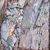 Hunza Valley Mountains Mountains Shortvideos