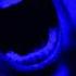 5 Seconds Of Summer Teeth Super Slowed