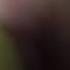 Shrek ASMR Ear Eating