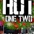 The Hot One Two Pints Of Cheer Lockdown Live Session