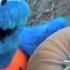 Cookie Monster Goes To A Pumpkin Farm Sesame Street Pumpkin Patch Pig Races