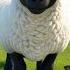 White Sheep Fluffy And Fat Soft Sheep Song For Toddlers Cozy Nursery Rhyme