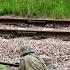 French Resistance And The British Army Real Life Skirmish