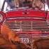 David Guetta Bebe Rexha J Balvin Say My Name RinG TuNe CaR StatuS