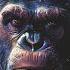 Base De Rap X Instru Rap X Freestyle Rap Beats Planet Of The Apes Bpm 87