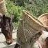 This Is How People Actually Used Horses To Transfer Goods To The Mountain Areas Shortsvideo