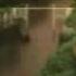 E Rotic Moonlight Shadow Remix Flv