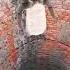 Hay Allah My Mother Where Did You Go Cute Cat Youtubeshorts
