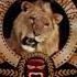 MGM UA Communications Co Metro Goldwyn Mayer 1988 B