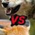 Wolf VS Fox Top 5 Comparisons Shorts