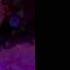 Mirabel X Listener I Really Like You Listener Re Upload