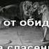 Отрекаюсь Господи от зла