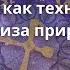 Символ как технология анализа природы Дмитрий Кулага