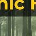 Mist Survival Quick Start In 2025 Organic House DJ Set