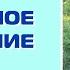 Зеленое удобрение без запаха Отличная подкормка Проверенный рецепт