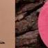 Niklas Paschburg Tuur Mang Welten ALBUM TEASER
