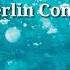 Summer Plans Feat By Berlin Connection