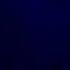 Missy Higgins Carry You Ft Tim Minchin 6th July 2024