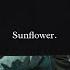 Rex Orange County Sunflower Slowed