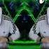 Set Psytrance 2022 Balikali Dead Musicians Society Pedrada ClaudinhoBrasil