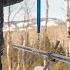 Forests For Freshwater Can People Help Forests Store More Snowpack