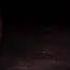 Bring Me The Horizon Parasite Eve Code Pandorum Caster Bootleg