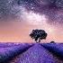 DEEP HEALING SLEEP Sleep Music Delta Waves Calming Music Meditation Music Relaxation