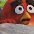 THE ANGRY BIRDS MOVIE Official Theatrical Trailer HD