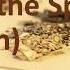48 Chinese Herbal Formula TCM Gui Pi Tang Restore The Spleen Decoction 归脾汤 中医 中药 方剂