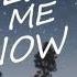 Alok Bruno Martini Feat Zeeba Hear Me Now Letra En Español Inglés
