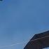 Best Value Bird Kite Cheap 3D Eagle From China