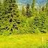 Unul Dintre Cele Mai Frumoase Locuri Din Romania Mountains