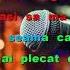 Ovidiu Komornyik Te Am Tradat Karaoke Universal Ro
