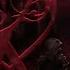 Love FLu