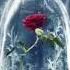 Colonna Sonora Trailer La Bella E La Bestia 2017 Disney Soundtrack Beauty And The Beast