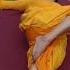ఇల చ స మ నడ మ న ప ప న శ శ వత గ తగ గ చ క వచ చ Backpain Yoga Drmanthenaofficial