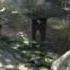 Vietnam Black Ops