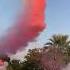 Pilot Dies After Plane Crashes During Gender Reveal Party In Mexico