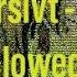 Sewerslvt Pretty Cvnt Slowed Down Remake