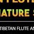 Captivating Tibetan Flute Music Soothing Rain Sounds Helps Relaxation Deep Sleep Black Screen