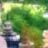 Spirit Of Budo Track 3