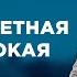 МНОГОДЕТНАЯ И ОДИНОКАЯ САМЫЕ ПОПУЛЯРНЫЕ ВЫПУСКИ КАСАЕТСЯ КАЖДОГО ЛУЧШИЕ ТВ ШОУ стосуєтьсякожного