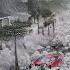 Hail Chaos In Austin Texas Baseball Sized Hail Wreck Homes Cars And Power Lines