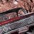 Lowriders Lowrider Lowriders Hopping Lowrider Magazine Shorts