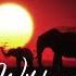 Suleymer X DJGoja Wilderness Coming Soon Enigma Hits Trending Deep Music