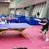 Fan Zhendong Looks A Bit Tired Doing That Backhand Loop Against Backspin Tabletennis Fanzhendong