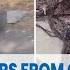 Viral Hair Appears From Old Graves The Recorder Is Terrified